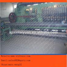 Hot-dipped galvanized or PVC coated high quality best price hexagonal wire mesh for chicken mesh