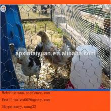  Hot - dipped   galvanized  or PVC coated high quality best price hexagonal wire netting/ chicken  wire/hexa