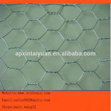 Hot-dipped galvanized or PVC coated high quality best price hexagonal decorative chicken wire mesh