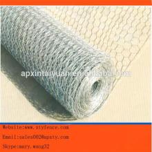 Hot-dipped galvanized or PVC coated high quality best price chicken wire mesh/hexagonal wire mesh