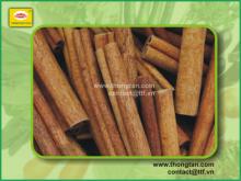Tube cinnamon