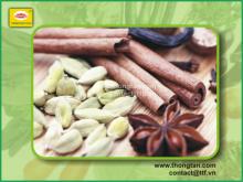 Cinnamon and star anise