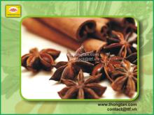 Cinnamon and star anise by Thongtan
