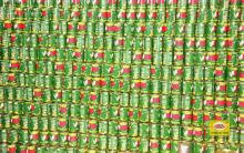 Lychee in canned 20 Oz by Thongtan, Vietnam