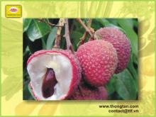Lychee in canned by thongtanfood