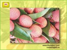 Vietnam canned lychee in heavy syrup