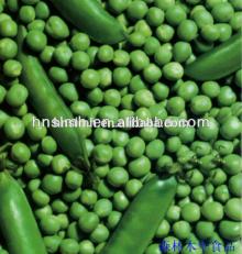 canned green peas in brine with best price