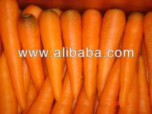 Fresh Carrot
