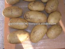 Fresh potatoes