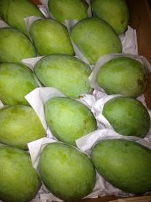 Sokkary Mango