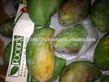 Fresh Mango Varieties (Sokkary- Zebediah- Sedik)
