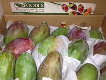 Egyptian Sweet Mango