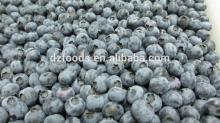 IQF Frozen Blueberry