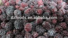 frozen blackberry
