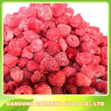 raspberry seed extract