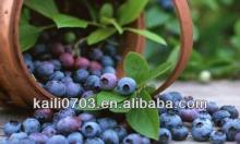  organic   blueberries  prices/blueberry  blueberries /frozen  blueberries  price 2013