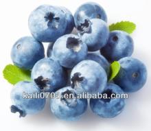 frozen blueberry fruit--iqf blueberries wild fresh blueberries wholesale