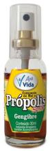 Propolis Spray with honey, mint and Ginger