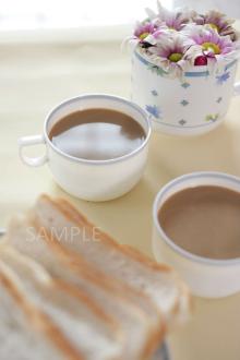 Cocoa Powder Malt Beverage Drink. Non Alcoholic Beverage Powder