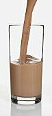 Smart Diko Chocolate Malt Powder Drink, Food & Beverage Product, Malaysia Products