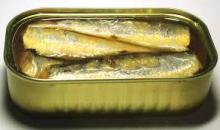 Canned Sardine in Natural Oil