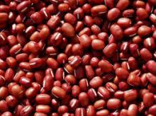 ADZUKI BEANS (Dried, Organic and Natural)