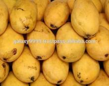 FRESH MANGO