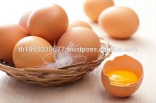  Farm   Fresh   Chicken   Eggs  Exports