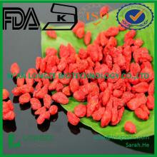  Goji   berry   Fruit   Powder 