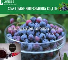 Natural bilberry Blueberry bilberry extract 25% anthocyanins