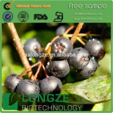 Natural  Chokeberry   Extract   powder   chokeberry 