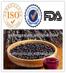 Free Sample Brazilian Acaiberry Extract Plant Extract Powder 4:1