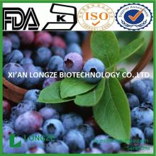  bulk  dried  blueberries  blueberry Anthocyanidin25%,Anthocyanosides36%