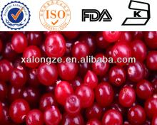 High Quality Cranberry Extract Plant Extract Powder