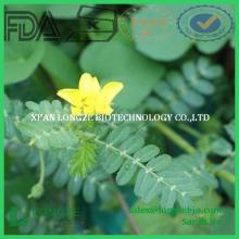 natual tribulus terrestris 90% bulk powder