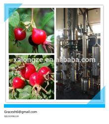 Natural plant extract Rose Hips Extractpowder/Rosa rugosa Thunb Flavones 1-20% UV/Rose Hip Extract