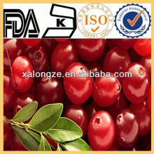 Natural Cranberry Extract(Vaccinium macrocarpon L.) Plant Extract, Anthocyanidins, Proanthocyanins P
