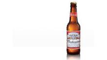 BUDWEISER LAGER 330 ml BOTTLES