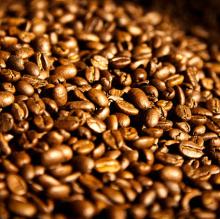 bulk roasted coffee bean