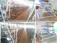 new design BT -A-160 chicken  cage s/chicken  cage  &automatic  poultry  chicken  cage  for sale
