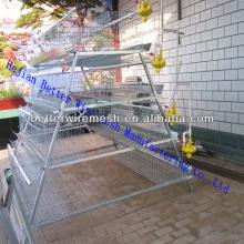 Hot-Sale BT factory A-160 folding chicken coop cages/chicken cage equipment&automatic chicken cage f