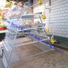 hot sale BT-A-160 type chicken cage &automatic chicken cage for poultry farm/A type high quality pou