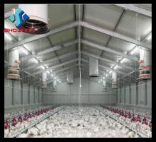 Commercial Chicken Houses From China Factory-Steel Structure Poultry Housing