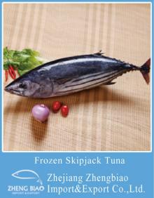 frozen skipjack tuna whole round