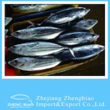 skipjack chunk tuna can