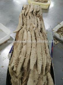 Origin china price for Bonito lion and Auxis thazard
