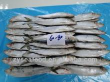 China Export Frozen Sardine Fish