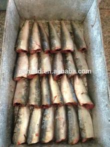 Frozen sardine  HGT  for canning