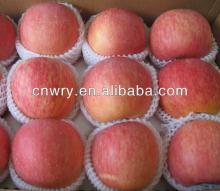 FRESH CHINA FUJI APPLE FOR GEORGIA