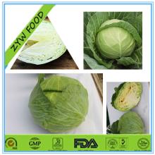 New Crop Chinese Cabbage Fresh Organic Cabbage - Good Supplier